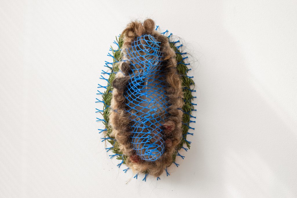 Carollyne Yardley, Molecular (front view), from the Symbiogenesis series, 2020. Found and foraged cedar bough (sustainably harvested after windstorm), pampas grass, human hair, plastic mesh tree protector, 17′′ x 10′′ x 8′′. Installation view from Becoming Plastic at Deluge Contemporary Art, 2022. Photograph by Spartan Media.