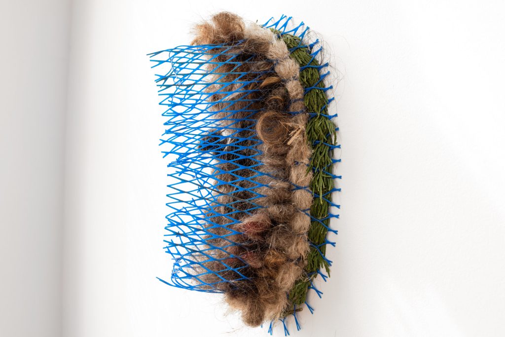 Carollyne Yardley, Molecular (right view), from the Symbiogenesis series, 2020. Found and foraged cedar bough (sustainably harvested after windstorm), pampas grass, human hair, plastic mesh tree protector, 17?? x 10?? x 8??. Installation view from Becoming Plastic at Deluge Contemporary Art, 2022. Photograph by Spartan Media.